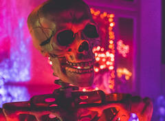 lich (Photo by NeONBRAND on Unsplash)